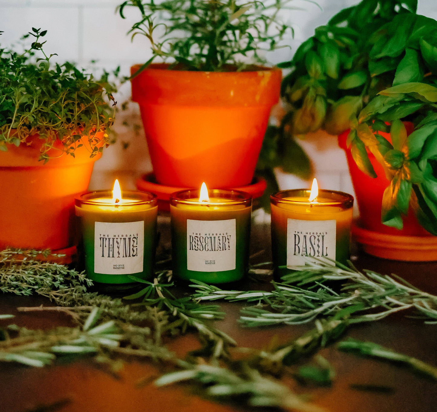 Basil // The Herbals Collection // Mini