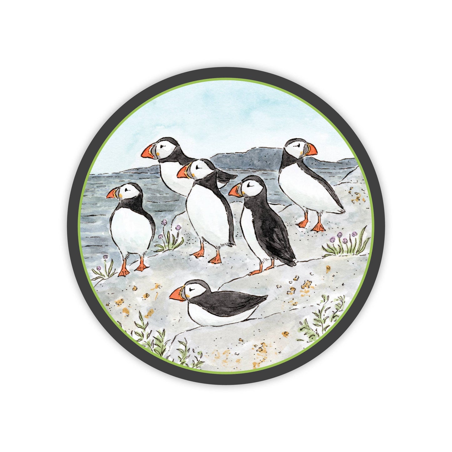 Puffin Colony – Coaster Set of 4