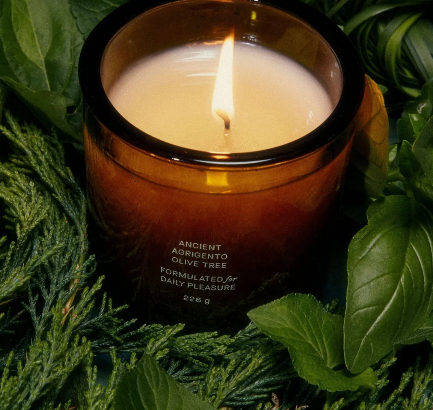 Flamingo Estate - Ancient Agrigento Olive Tree  Candle - 8 oz.