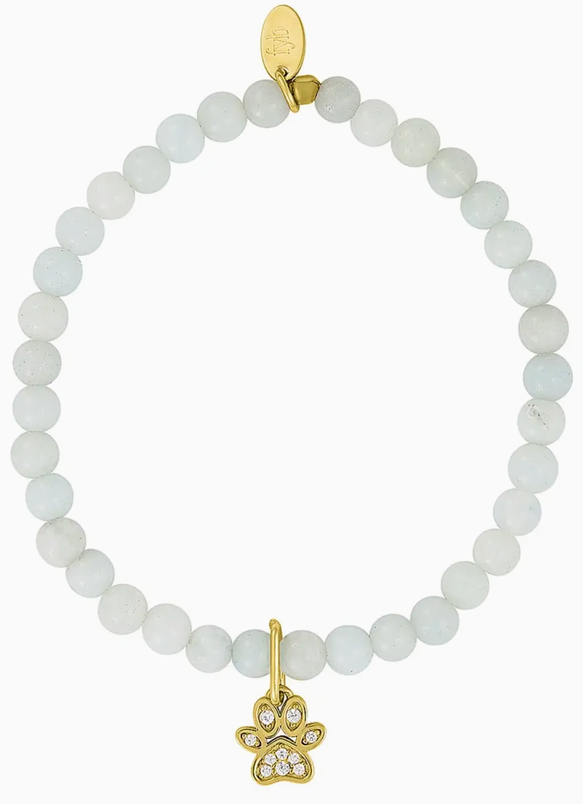 Paw Print Charm Bracelet - Mommy & Me
