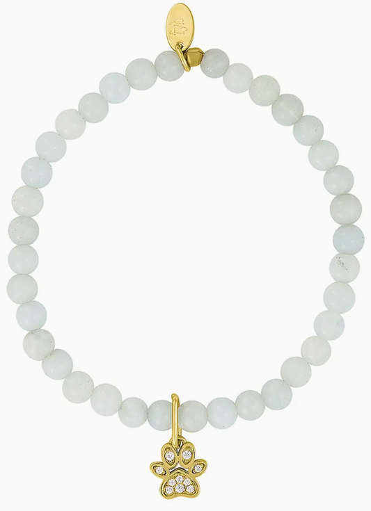 Paw Print Charm Bracelet - Mommy & Me